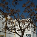 2009_portugal 141